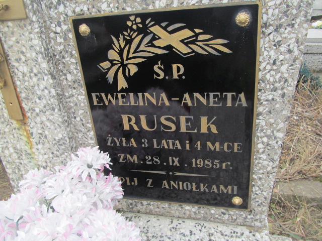 Ewelina Aneta Rusek Skarżysko Kościelne - Grobonet - Wyszukiwarka osób pochowanych